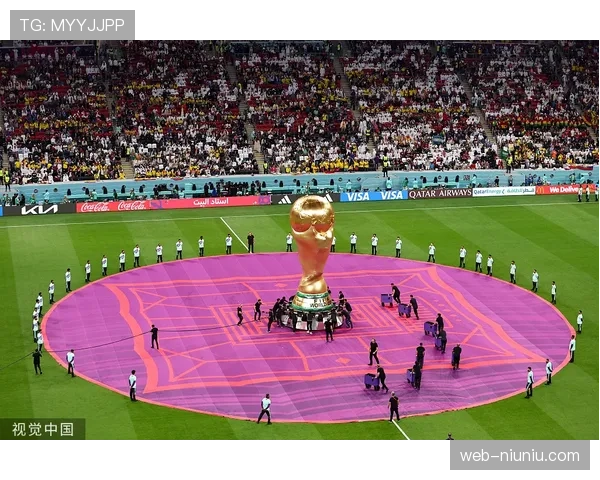 土耳其裁判丑闻升级加拉塔萨雷敦促足协彻查赌球黑幕