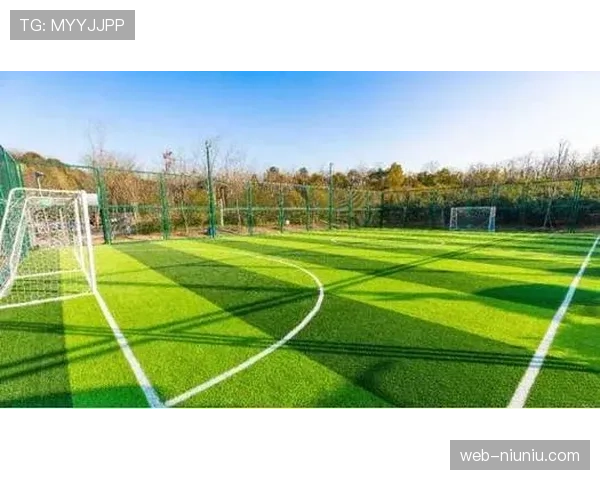 体育公园功能复合化 成为家庭休闲运动首选地